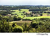40F03815.jpg