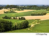 40F04134.jpg