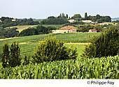 40F04139.jpg