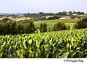 40F04140.jpg