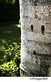 40F05228.jpg