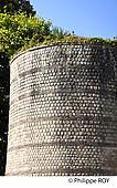 40F05229.jpg