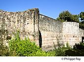 40F05231.jpg