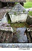 40F06419.jpg