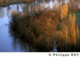 46F00322.jpg