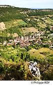 46F00507.jpg