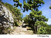 46F00521.jpg