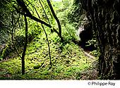 46F01721.jpg
