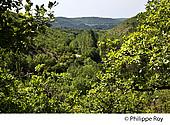 46F02708.jpg