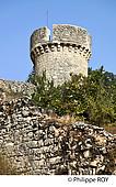 46F02825.jpg