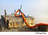 47F00620.jpg