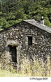 48F00227.jpg