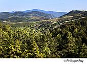 48F00313.jpg