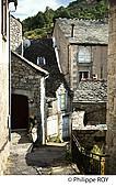 48F02337.jpg