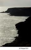 56F00240.jpg