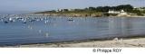 56F00501.jpg