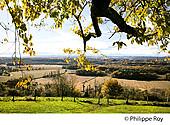 64F04937.jpg