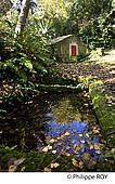 64F05029.jpg