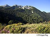 64F05515.jpg