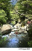 65F07102.jpg
