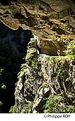 66F00709.jpg