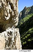 66F00712.jpg