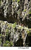 66F00715.jpg