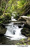 66F01613.jpg