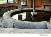 70F00301.jpg