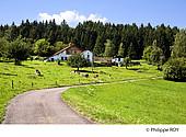 70F01133.jpg