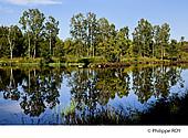 70F01201.jpg