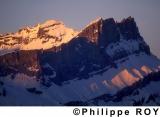74F00209.jpg