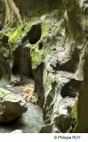74F00910.jpg
