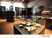 74F01008.jpg