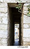 82F01528.jpg