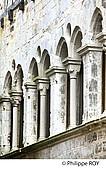 82F01717.jpg