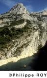 83F00106.jpg
