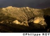 83F00107.jpg