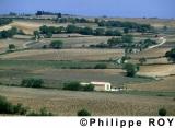 84V00108.jpg