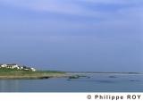85F00238.jpg