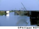 85F00513.jpg