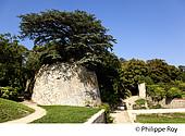 85F01537.jpg