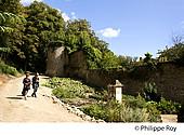 85F01539.jpg