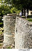 85F02006.jpg