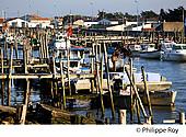 85F03314.jpg
