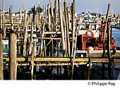 85F03317.jpg