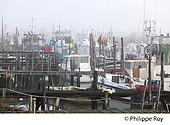 85F03324.jpg