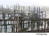85F03325.jpg