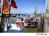 85F03334.jpg