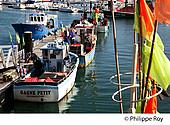 85F03729.jpg